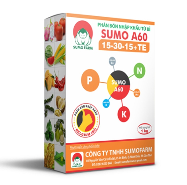 Sumo A60